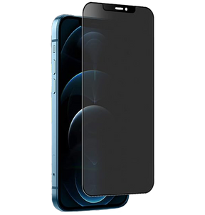 iPhone 12 Pro Max Generic Privacy Tempered Glass - Black | Scratch-Resistant, Perfect Fit Design image 0